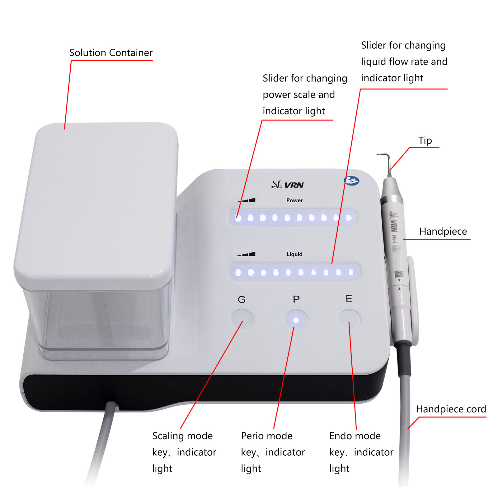 LED Dental Ultrasonic Piezo Scaler Handpiece Bottle Fit EMS Woodpecker + 10*Tips