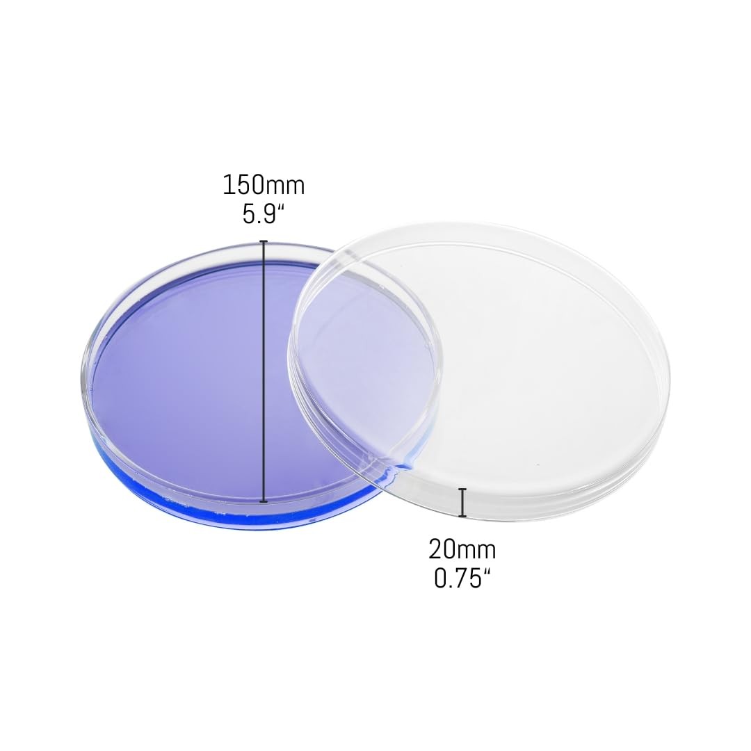 Petri Dish, 5.9″ (150mm) – Beaded Edges Easy to Sterilize for Repeated Use Bo…