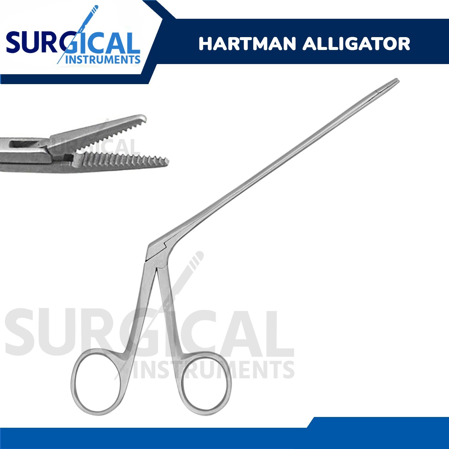 Alligator Forceps Surgical & Veterinary Instruments 12″ Stainless German Grade