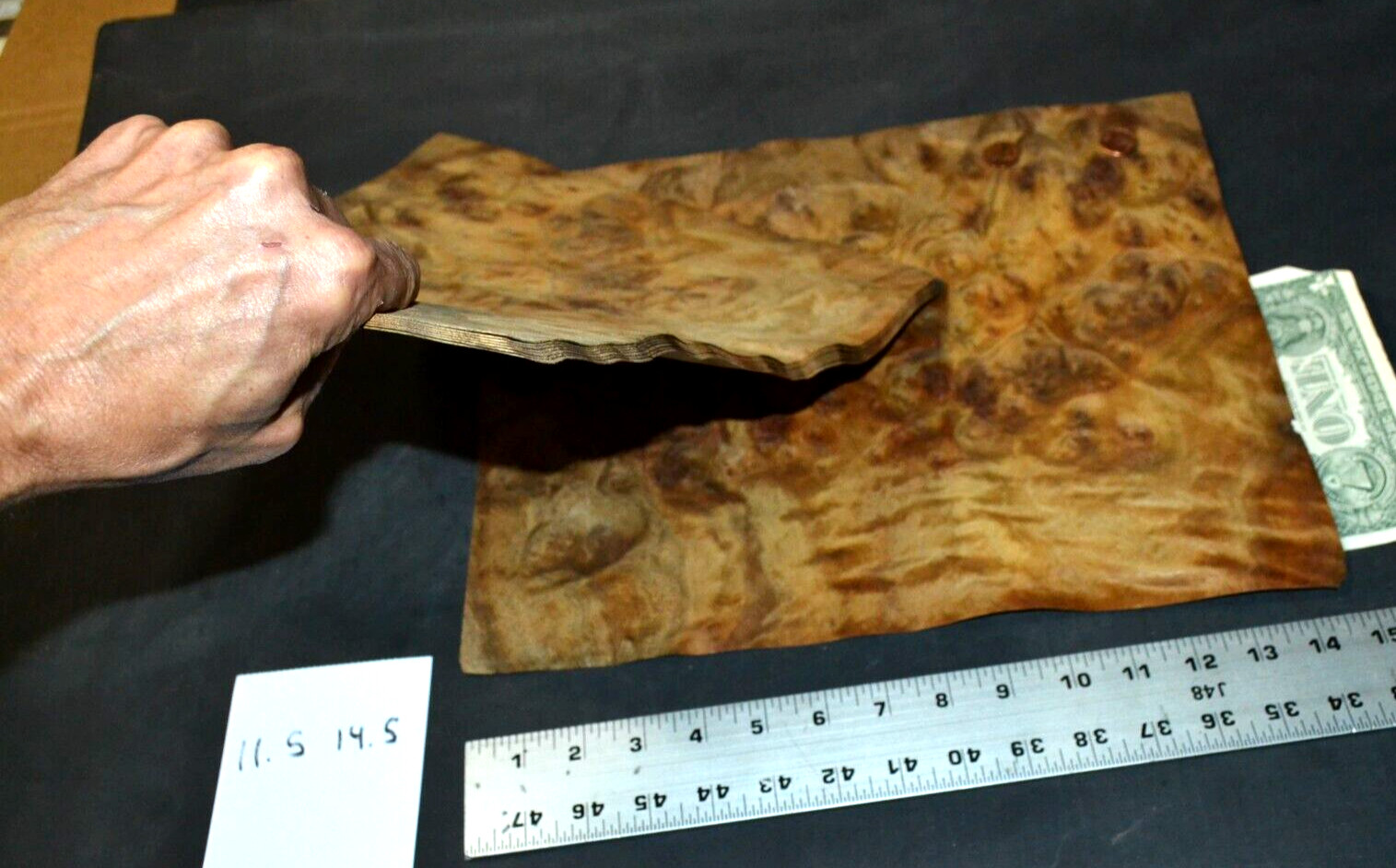Camphor Burl Raw Wood Veneer Sheet 11.5 x 14.5 inches 1/42nd thick 4672-84