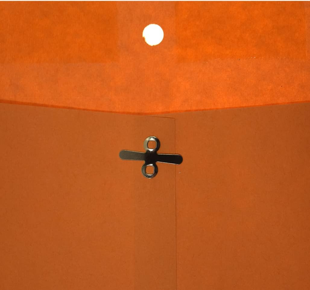 Clasp Envelopes, Gummed and Clasped Closure, 6 X 9 Inches, Brown Kraft, 25 Envel