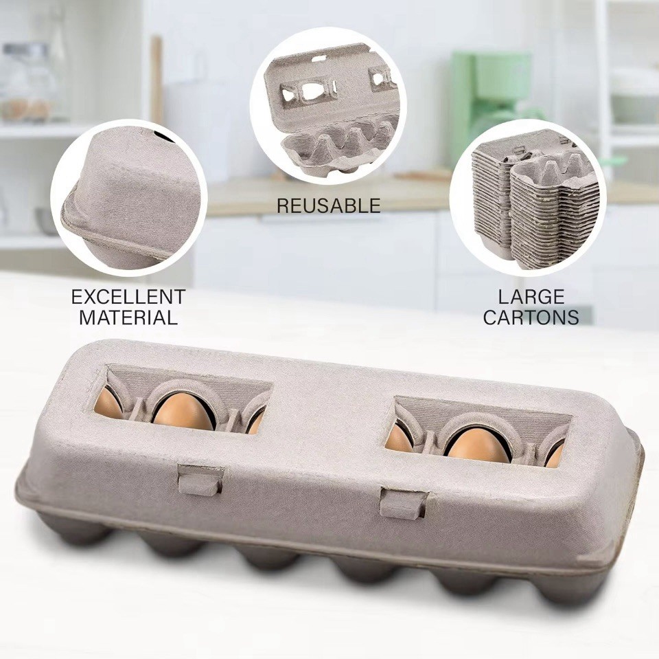Egg CartonsNatural Pulp Egg Cartons Bulk Blank 12 Eggs Per Carton 20 PACK Strong