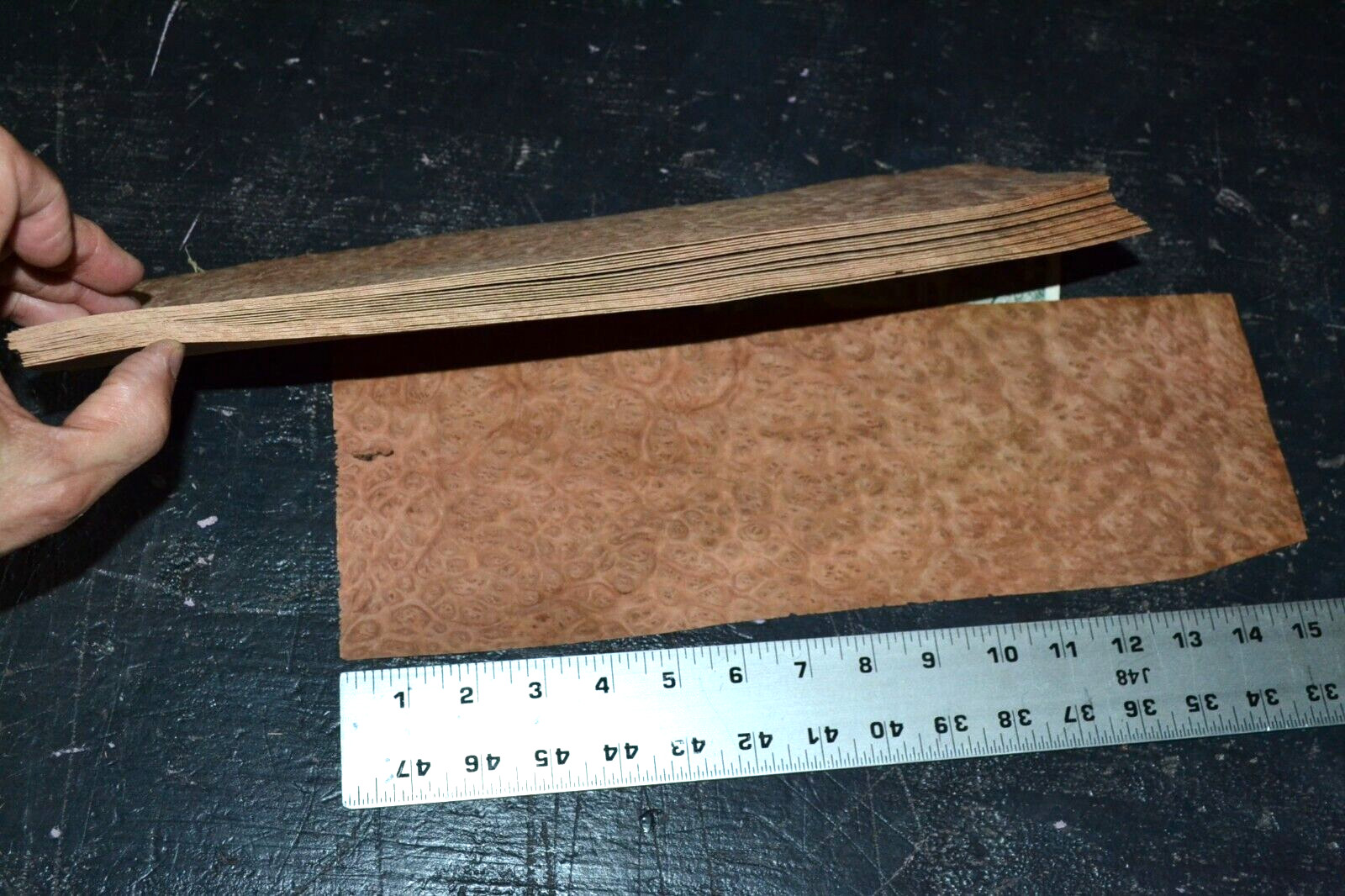 Eucalyptus Burl Raw Wood Veneer Sheets 5 x 13 inches 1/42nd 5940-11