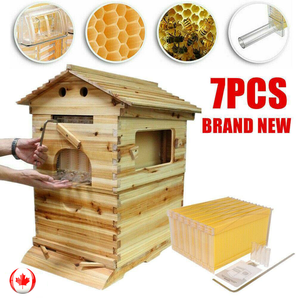 Auto Drain Honey Bee Hive Bee Boxes Beehive Starter Kit +7 Beekeeping Frames New