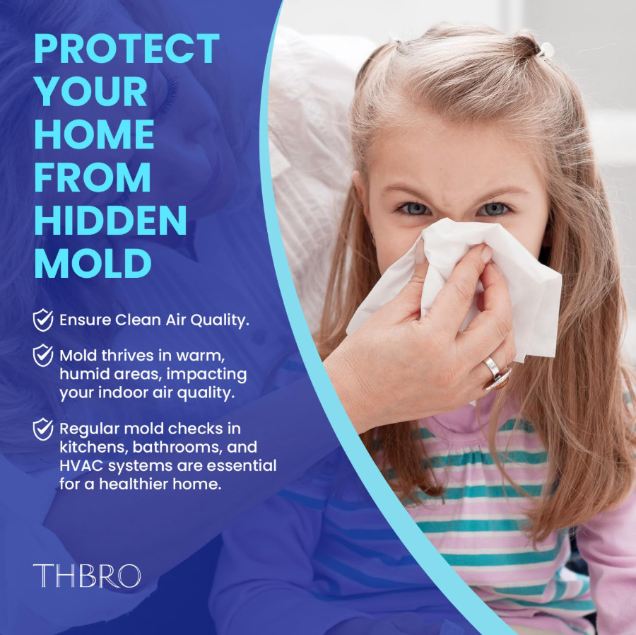 Mold Test Kit for Home Air: DIY Mold Detector with 5 Simple Detection Tests, USA