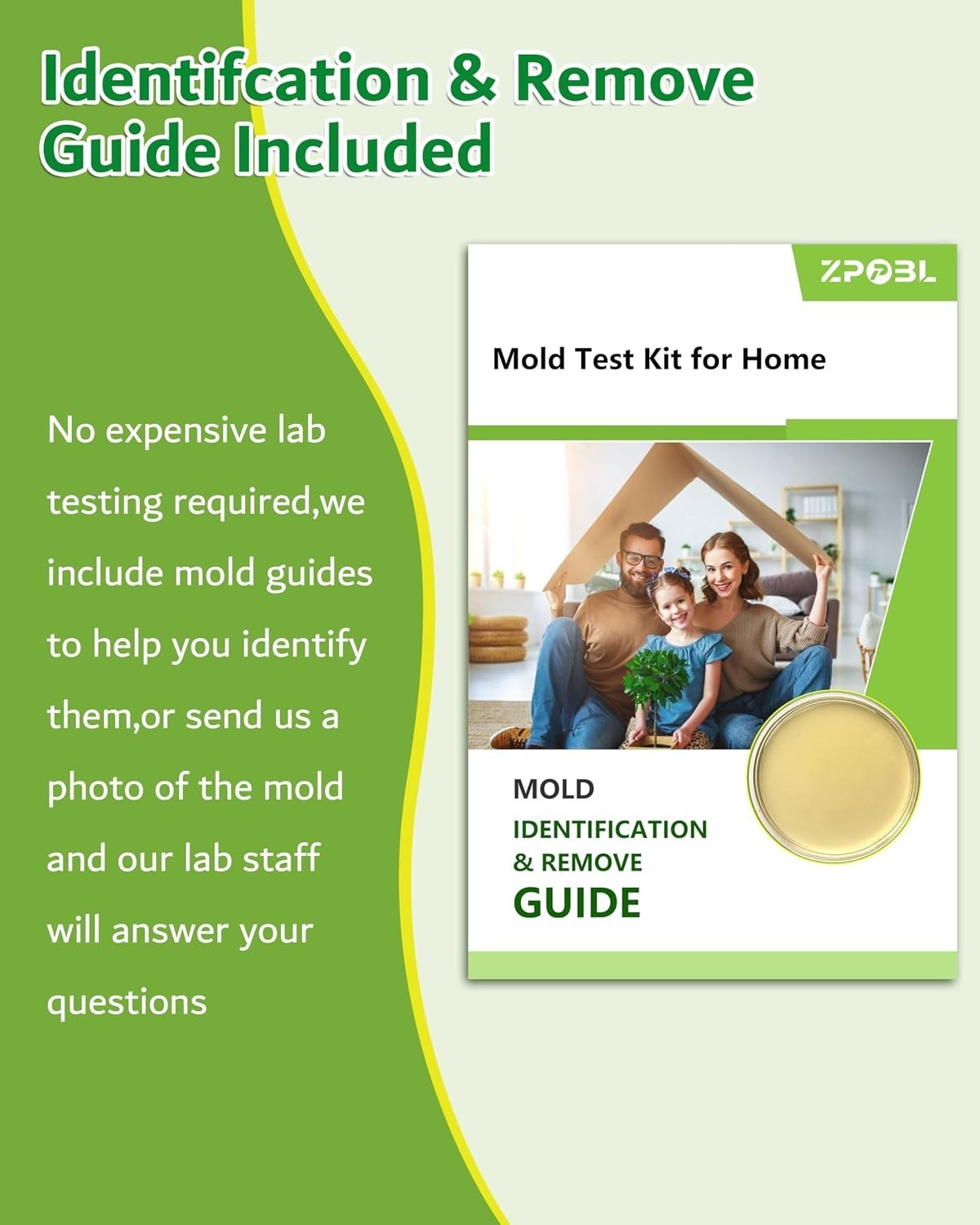 Mold Test Kit for Home Air: DIY Mold Detector with 4 Simple Detection Tests, USA