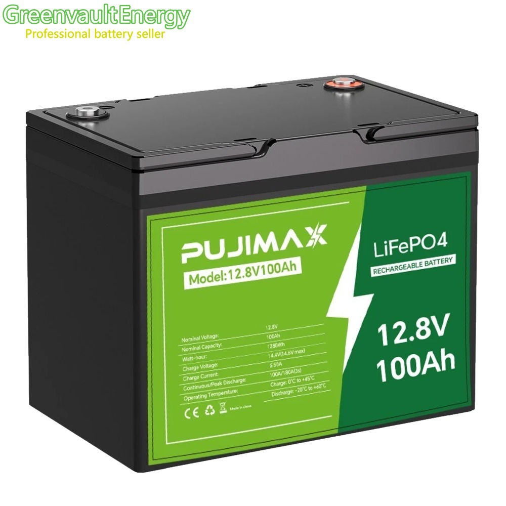 PUJIMAX 12V 100Ah BMS 100Ah LiFePO4 Lithium Battery Deep Cycle Marine Off-grid