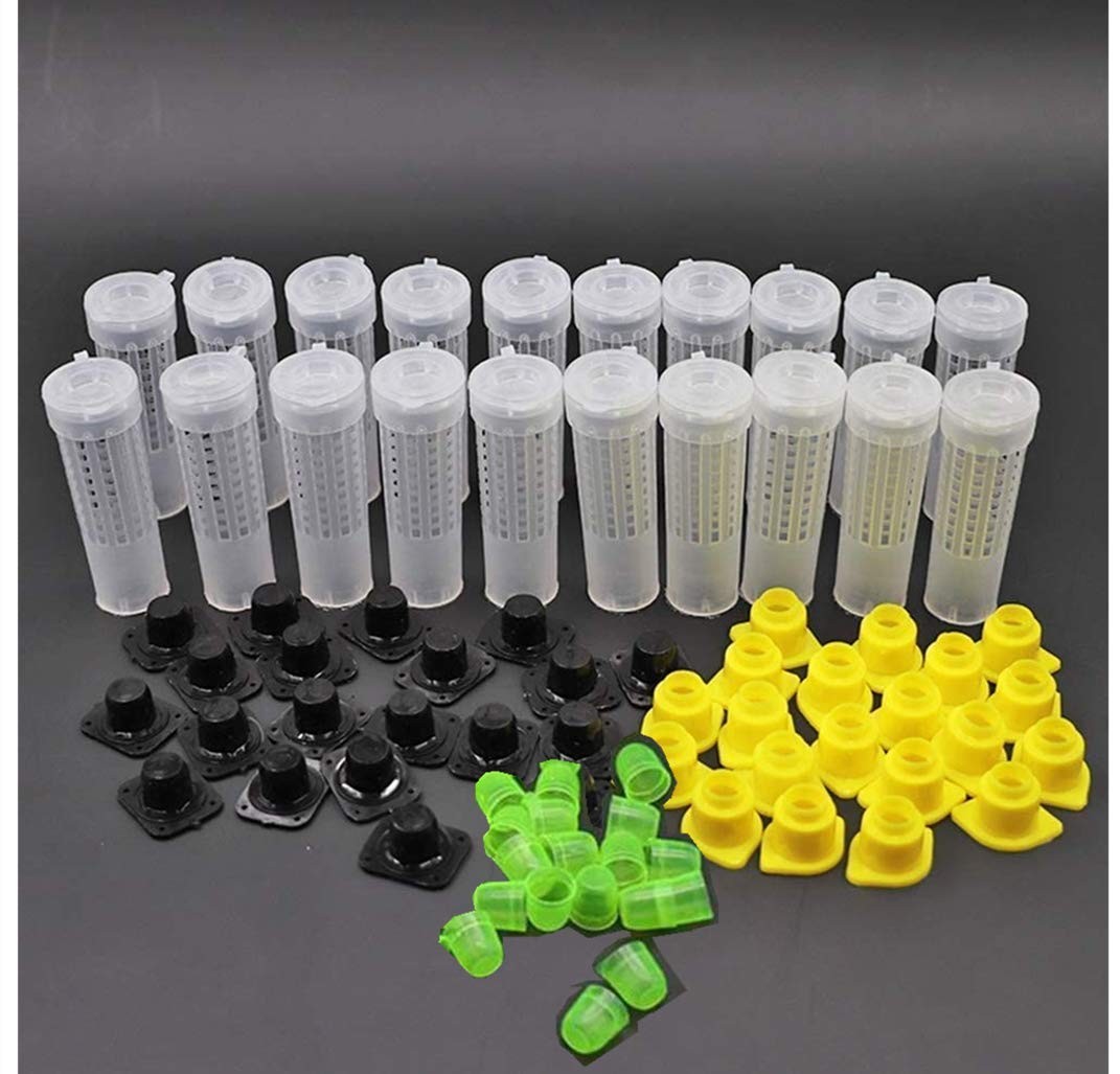 Beekeeping Rearing Cup Kit – Queen Bee Roller Cage Beekeeping Equipment Insec…