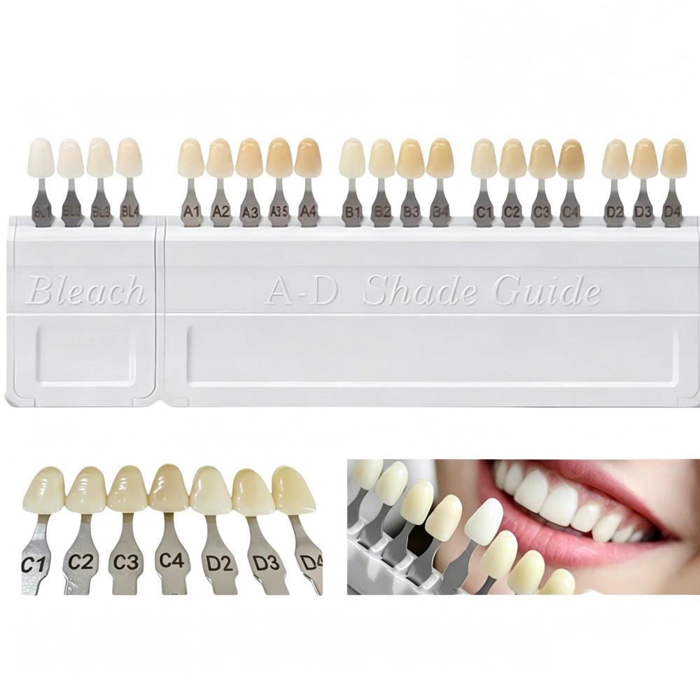 1/2 Set For VITA Classical Dental Shade Guide with Bleached Shades Clip New