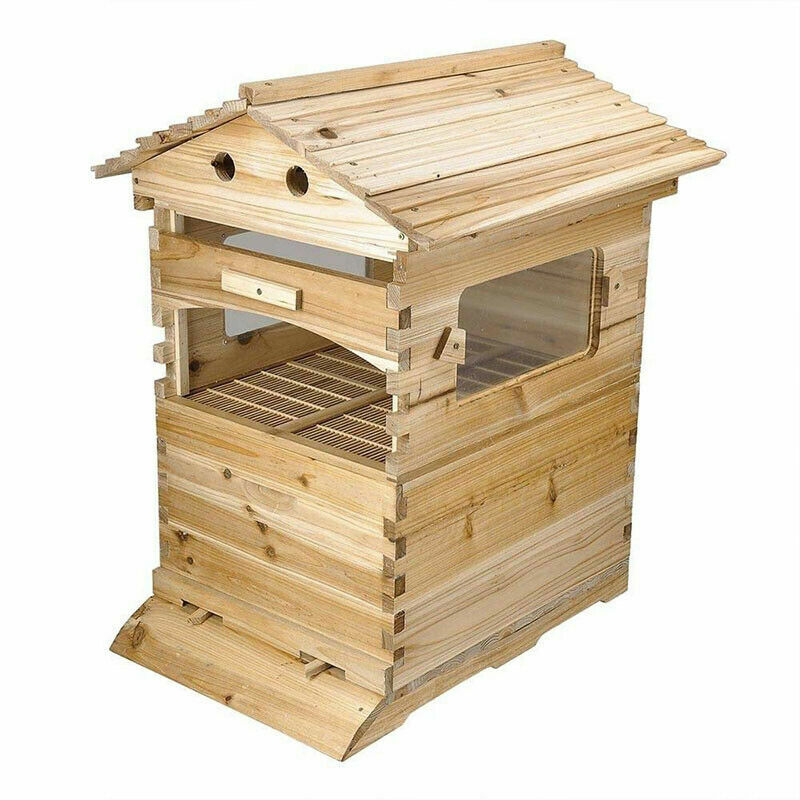 7Pcs Auto Seeping Honey Hive Beehive Frames + Beekeeping Wooden Cedarwood House