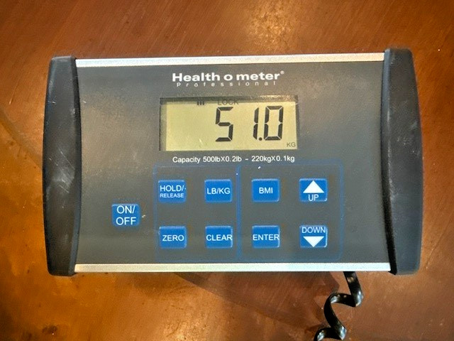 Health o meter Professional 498KL Digital Medical Scale Tested & Working No Adap