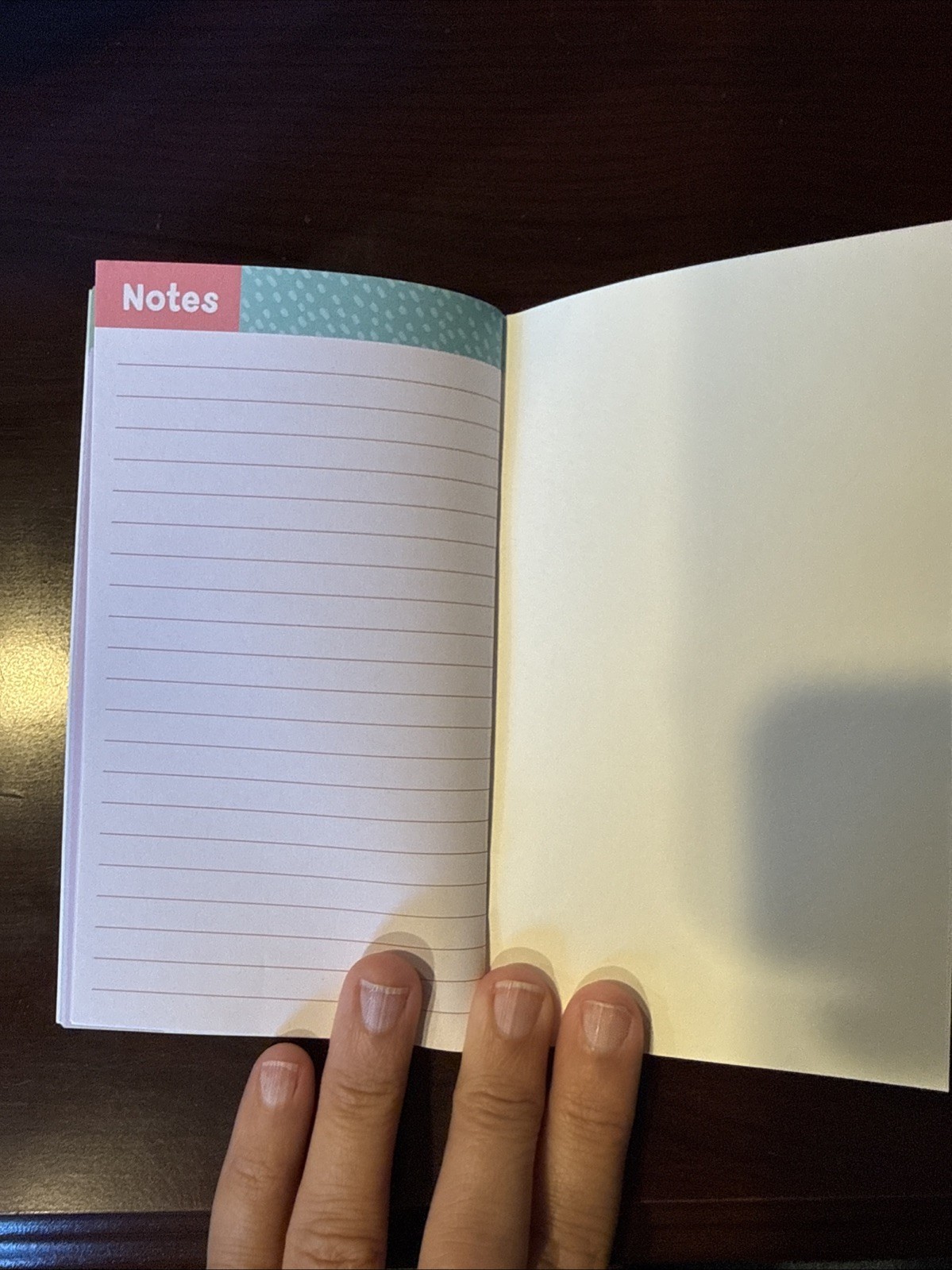 2026-2027 Two Year Pocket Planner (3.3 in. X 6in.) Dog On The Cover- NEW