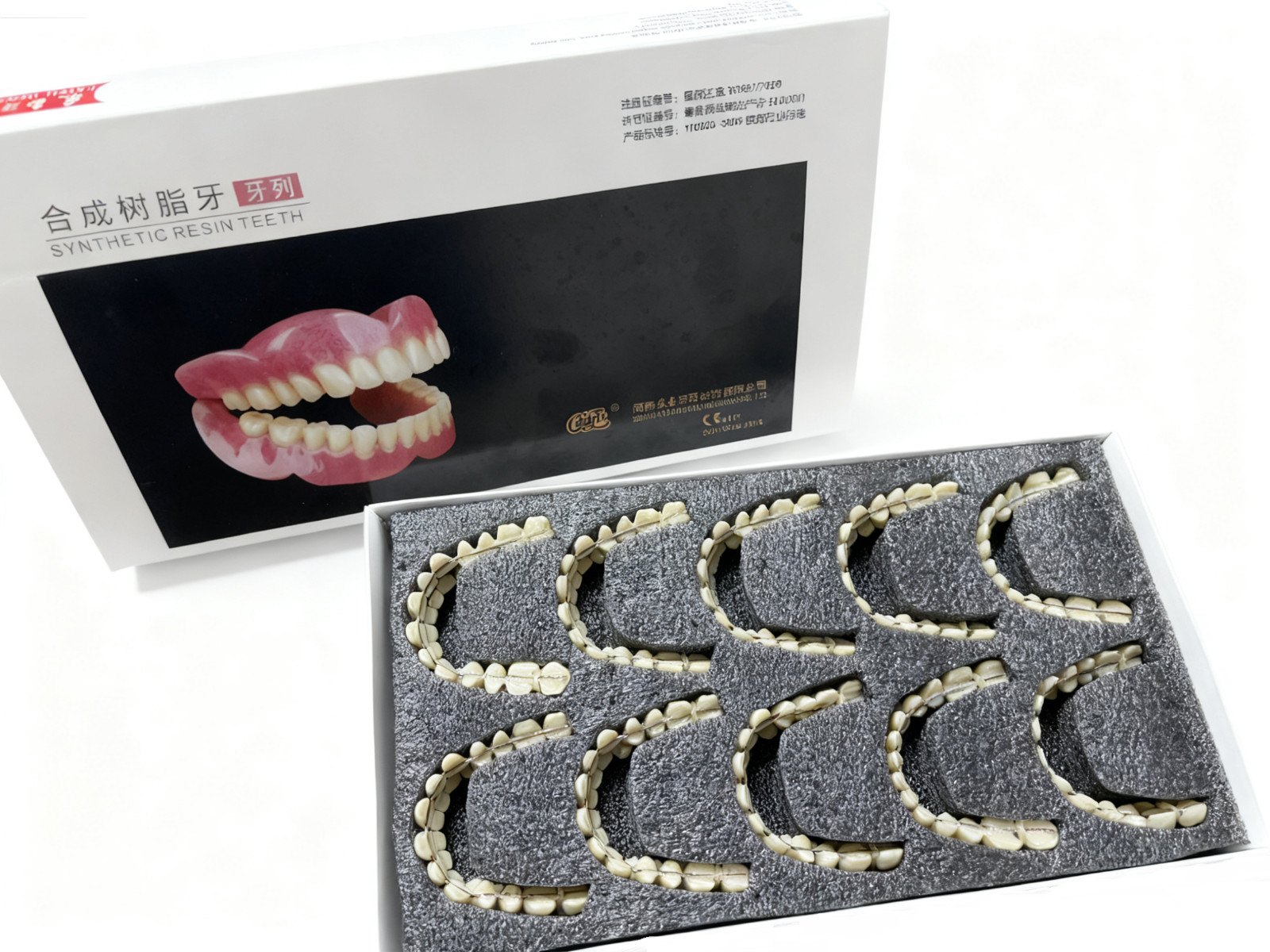 10X Dental Mouths Resin Artificial Dentition Acrylic Resin Synthetic Resin Teeth