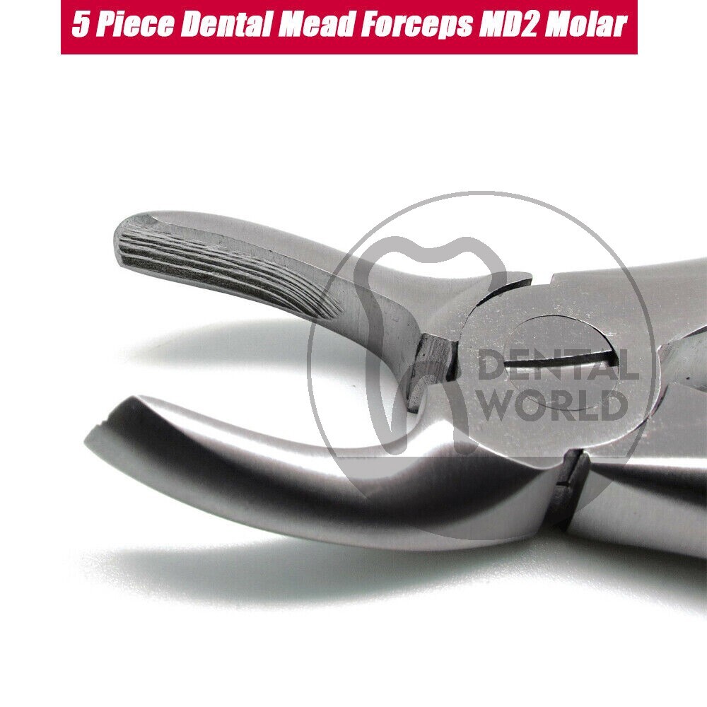 5 Pcs Dental Mead Forceps MD2 Molar Tooth Extracting Surgical Instruments