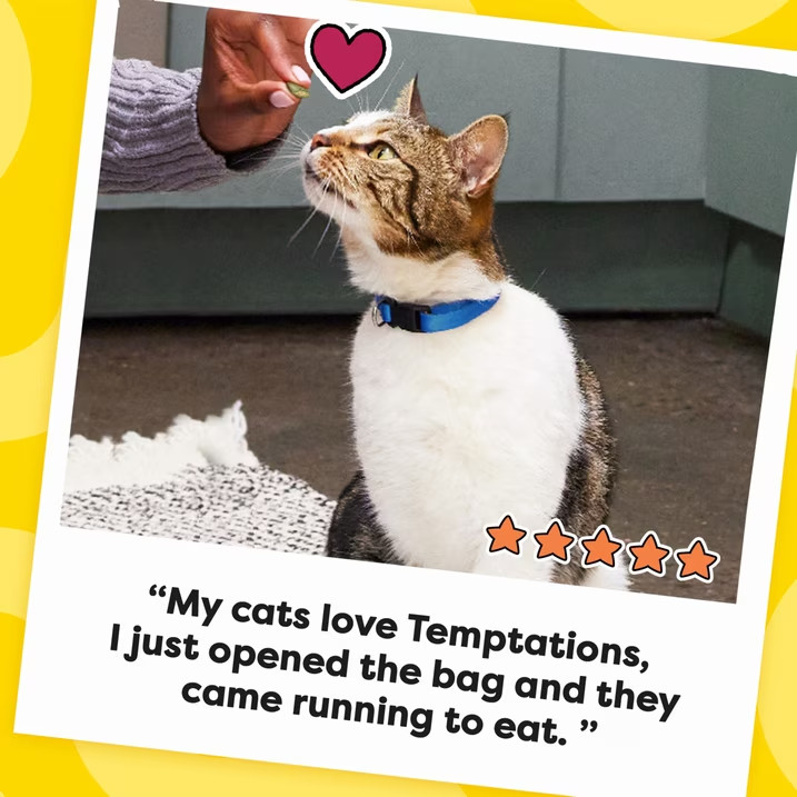 3 Tub TEMPTATIONS Classic Crunchy and Soft Cat Treats Tasty Chicken Flavor 30 oz