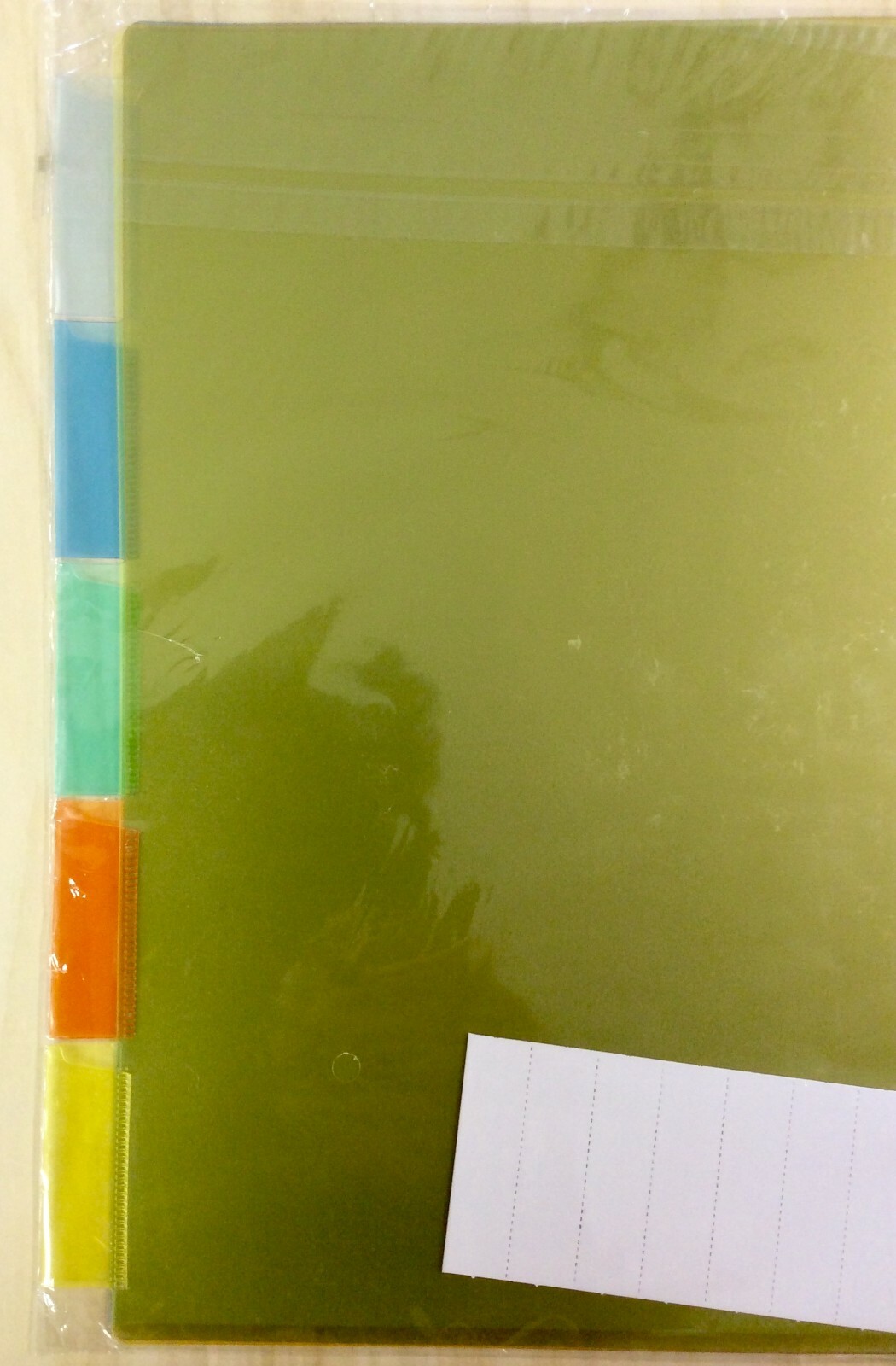 Wilson Jones Poly Insertable Dividers, 5-Tab Set, Multicolor Tabs (W54319)