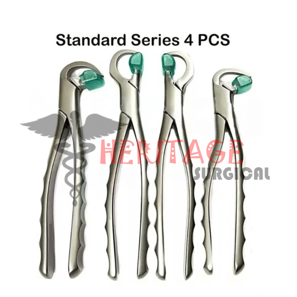 Dental Extraction Forceps Standard Series Set of 4 Pcs + 2 pcs Molar Series Set