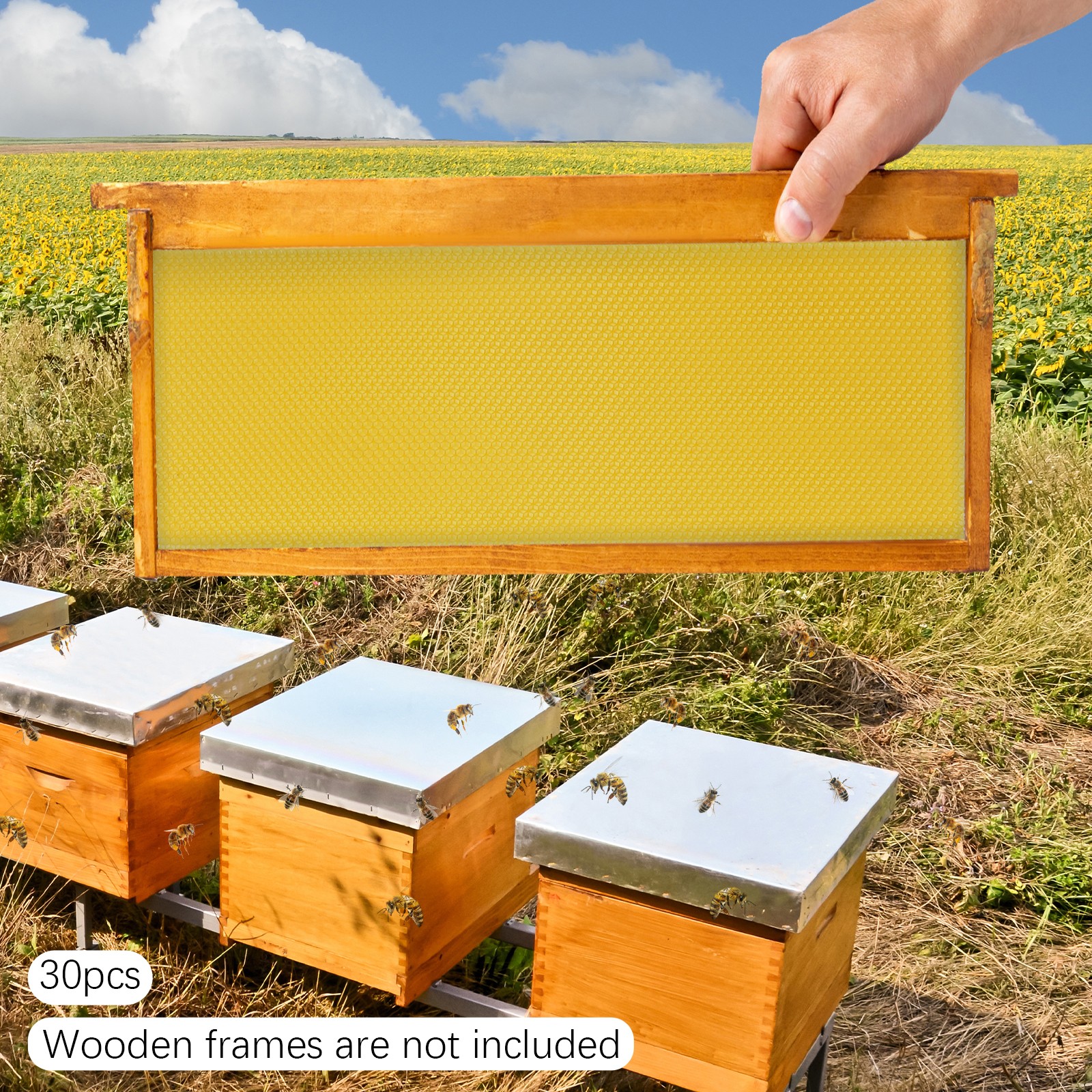 30Pcs 7.7*16.3″ Honeycomb Wax Frames Beekeeping Foundation Honey Bee Hive Tool.