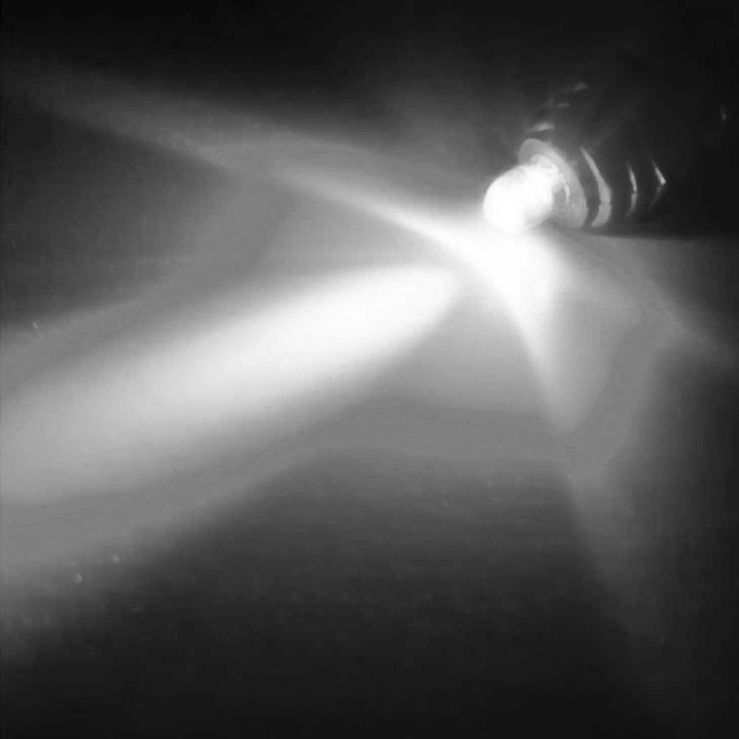 10pcs 5mm White LED Lights 1.8-3.4V