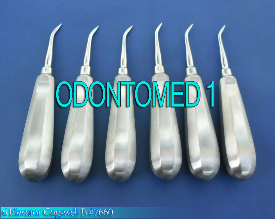 6 Cogswell B Root Elevator Round Point Dental Instruments