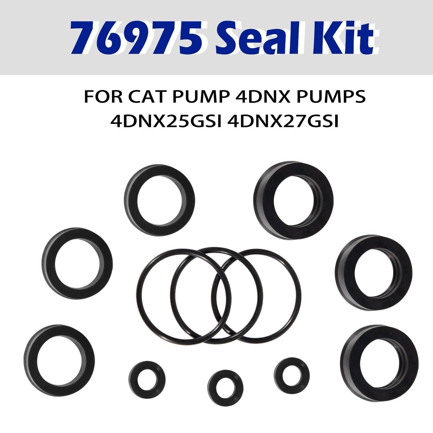 76975 Seal Kit 12Pcs For Cat Pump 4DNX Pumps 4DNX25GSI 4DNX27GSI CAT Seal Kit
