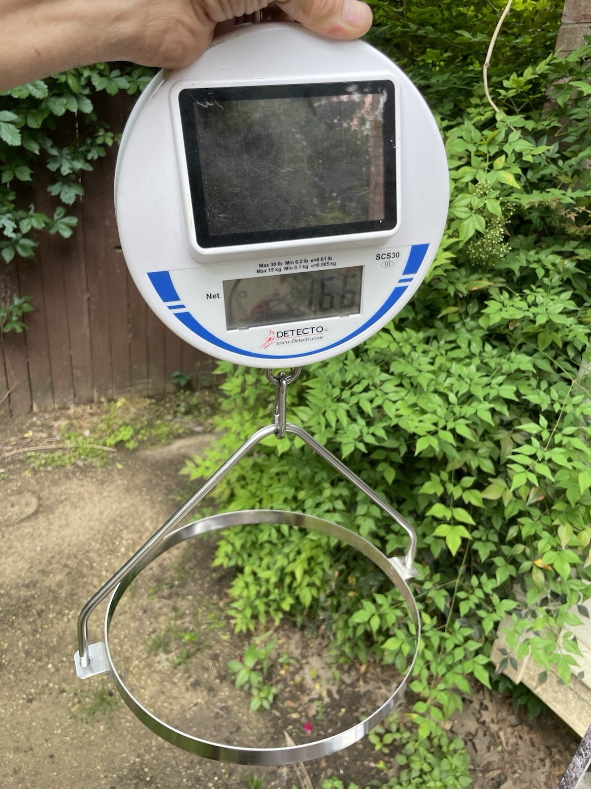 2 Detecto Digital Hanging Scale SCS30 Solar Powered 66lb/30kg Capacity