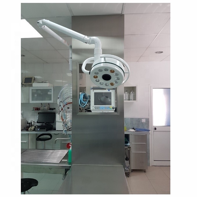 Wall hanging Dental Medical Examination Surgical Light 3W*12 LED Shadowless Lamp