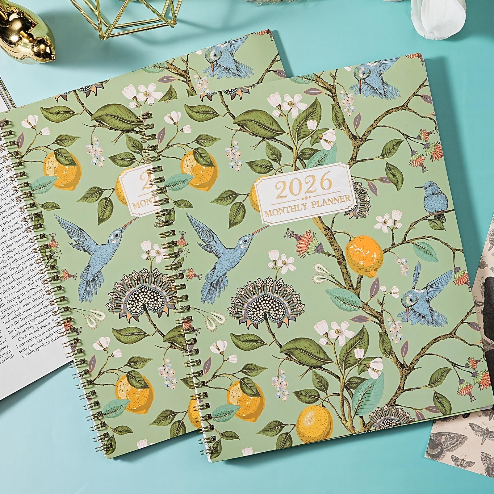 2026 Monthly Planner – 2026 Planner, JAN 2026 – DEC 2026, 2026 Monthly Plann…