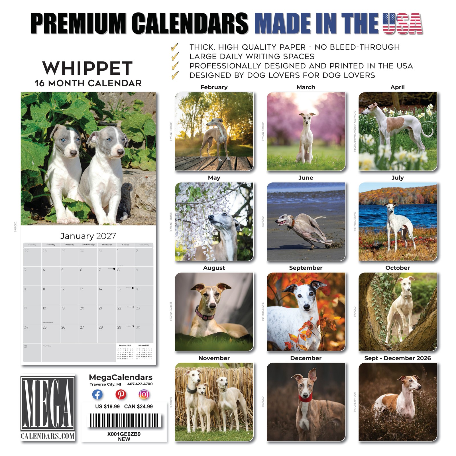 Whippet Dog Breed Calendar 2024 FULL SIZE 12×24 Made in USA