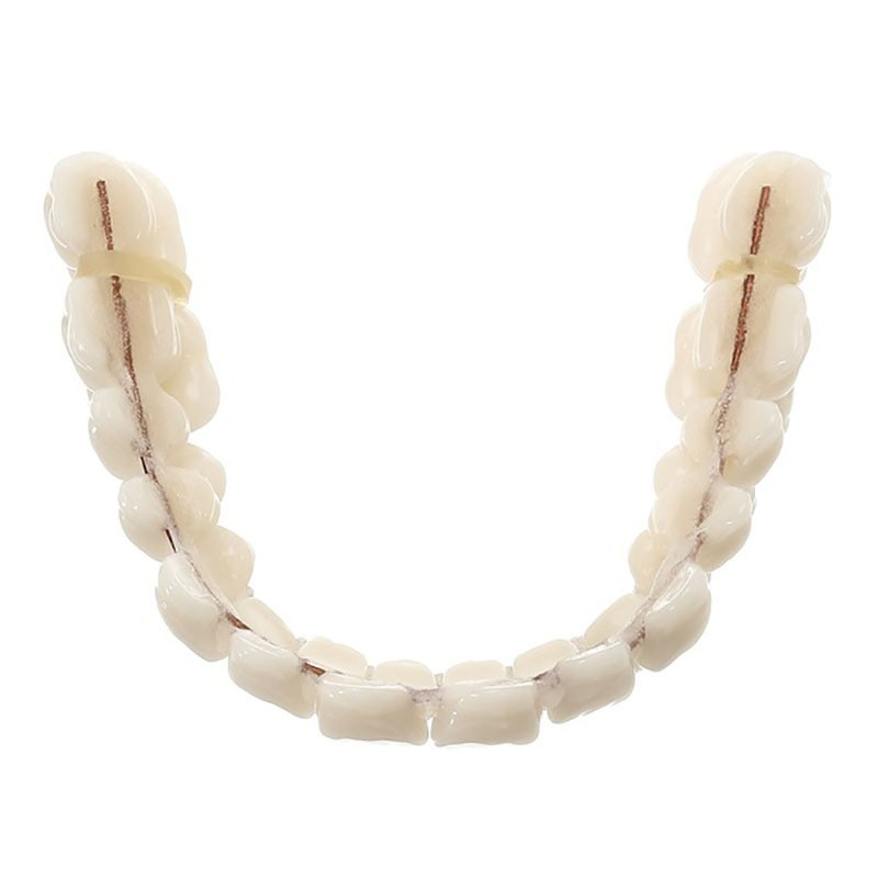 28pcs/set Resin Teeth Denture Manufactured Artificial Preformed Dentition