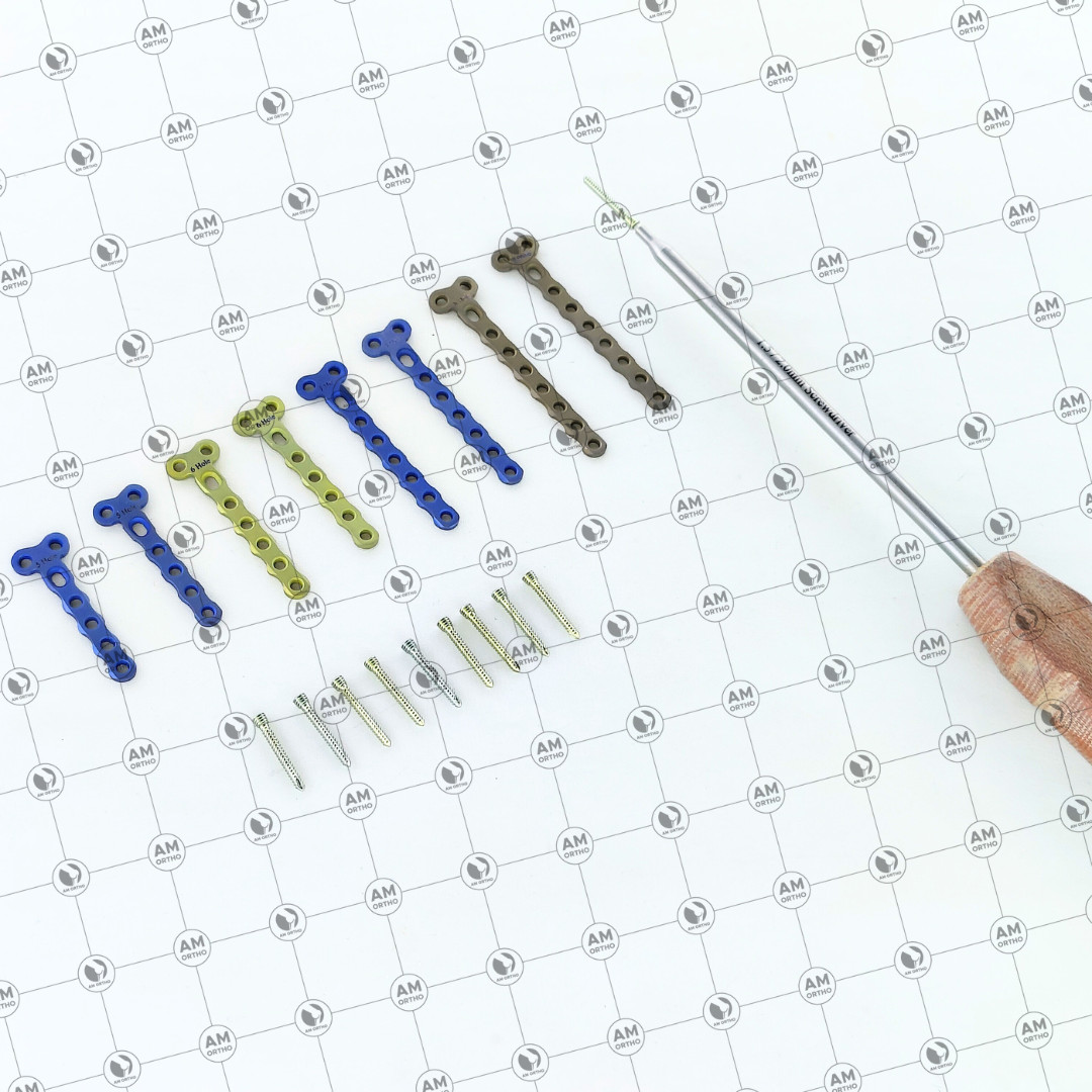 Veterinary 2.0mm Locking 2 Hole Head T Plates with Locking Screws 69 Pcs Set Ti