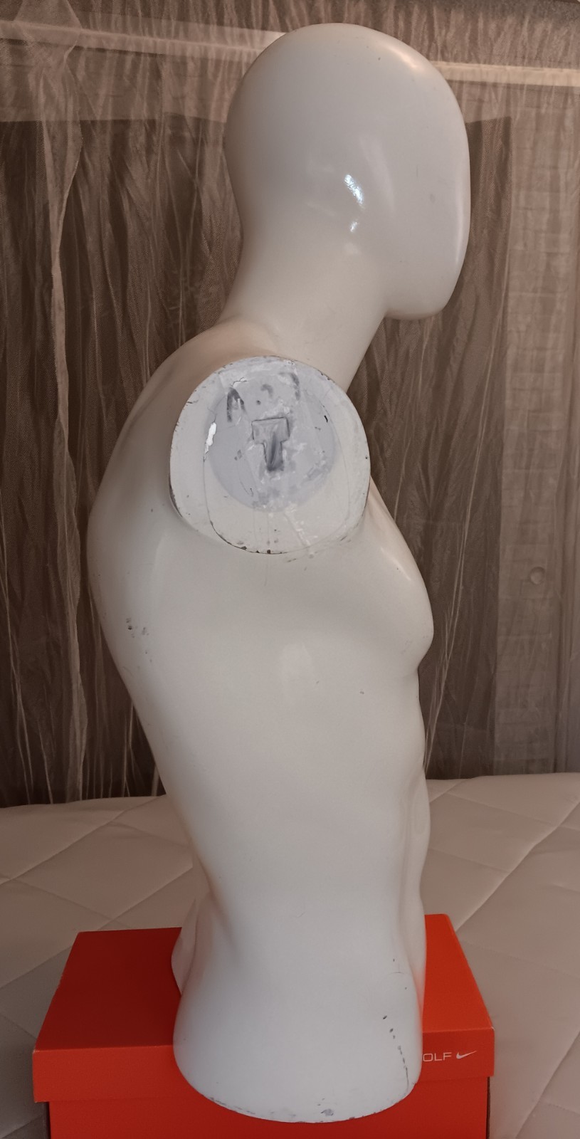 Male Egghead Torso Mannequin – Armless Display Form – Mannequin Like Display