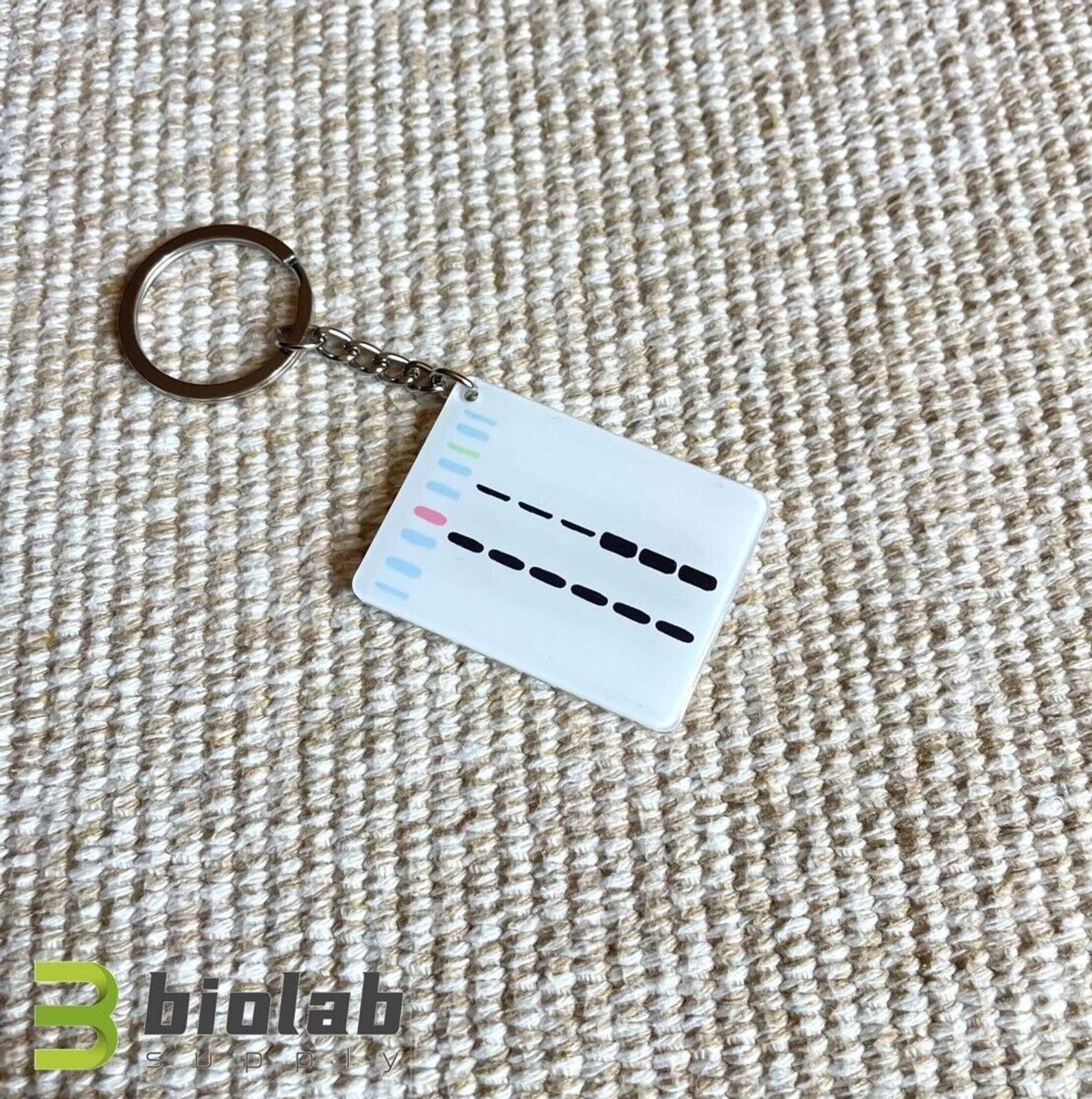 Western blot keychain, Original design research keychain