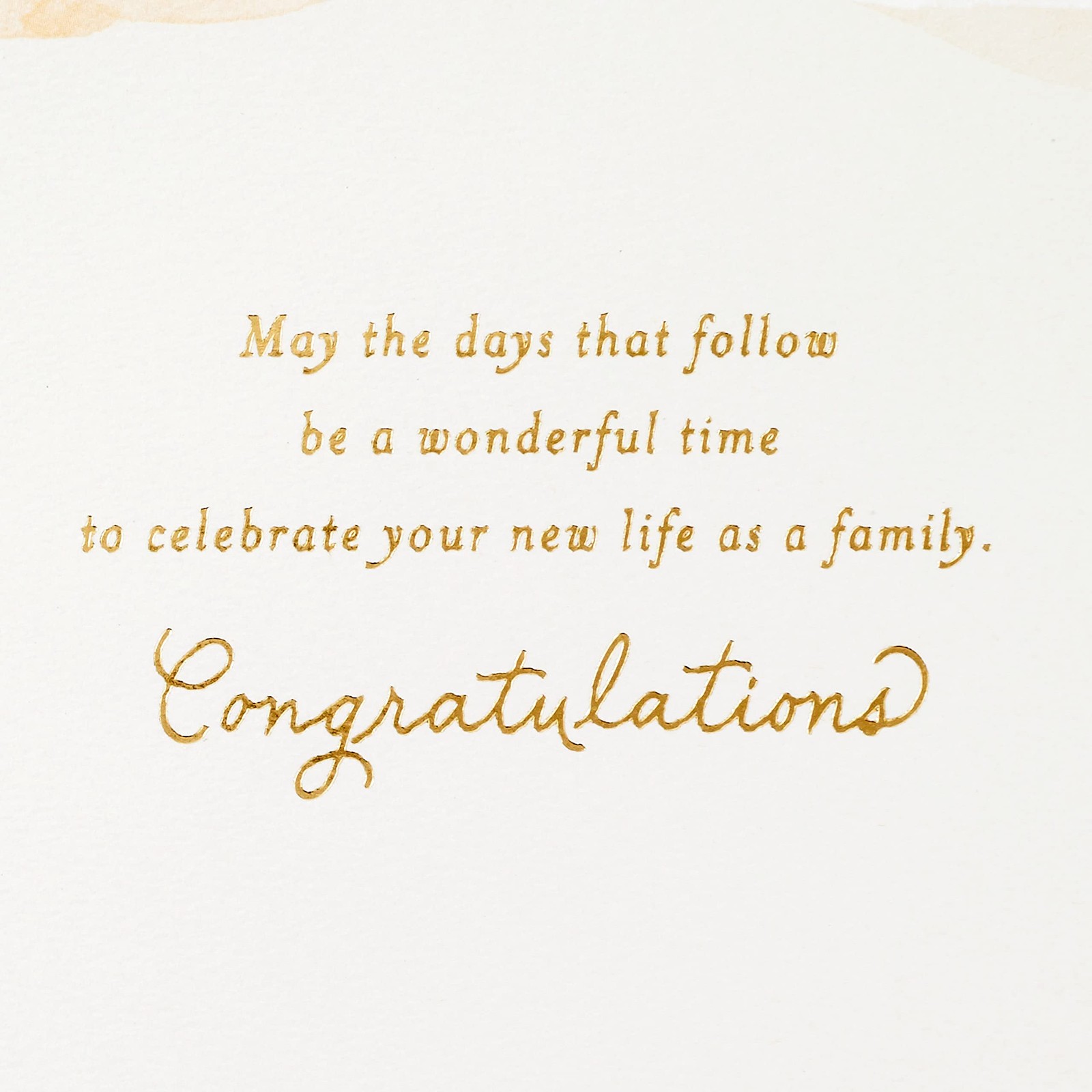 Hallmark Wedding Card (Beautiful Life Together) 5″ x 7.2″, Indie