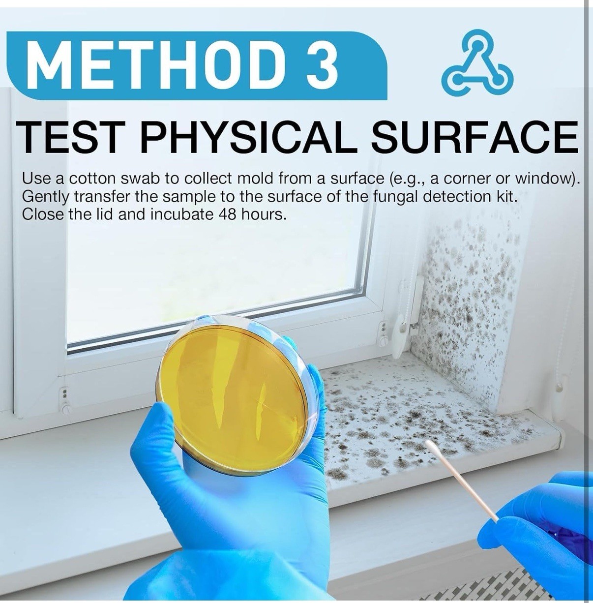 Mold Test Kit for Home