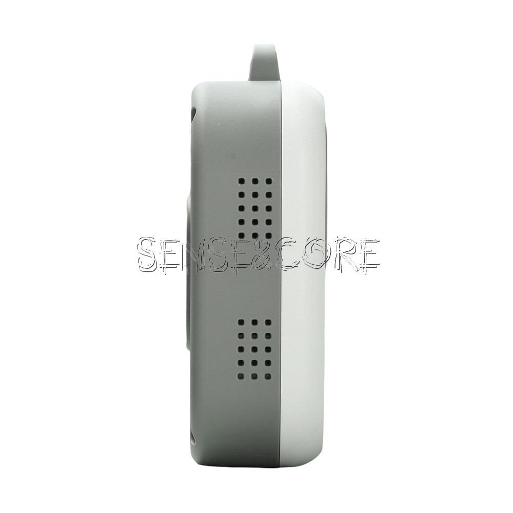 Air Quality Monitor 3-in-1 Carbon Monoxide Detector Temperature Humidity Alarm