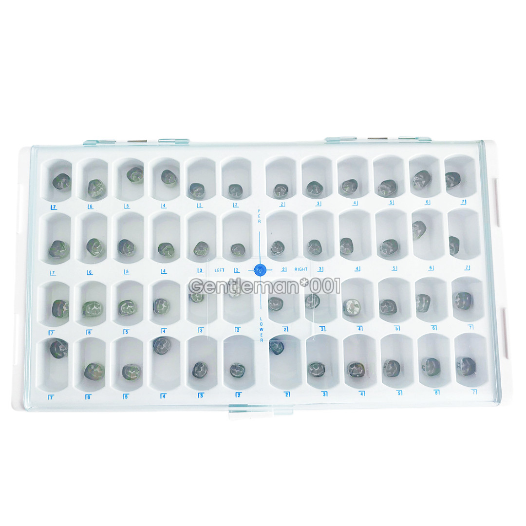 24Sizes Dental Primary Molar Teeth Crown Stainless Steel For Adult Temporary