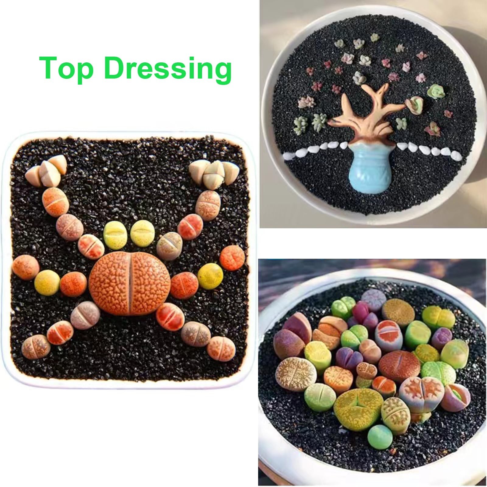 2.4lb Succulents and Cactus Black Sand, Décor & Additive Tiny Stones,DIY Rock…