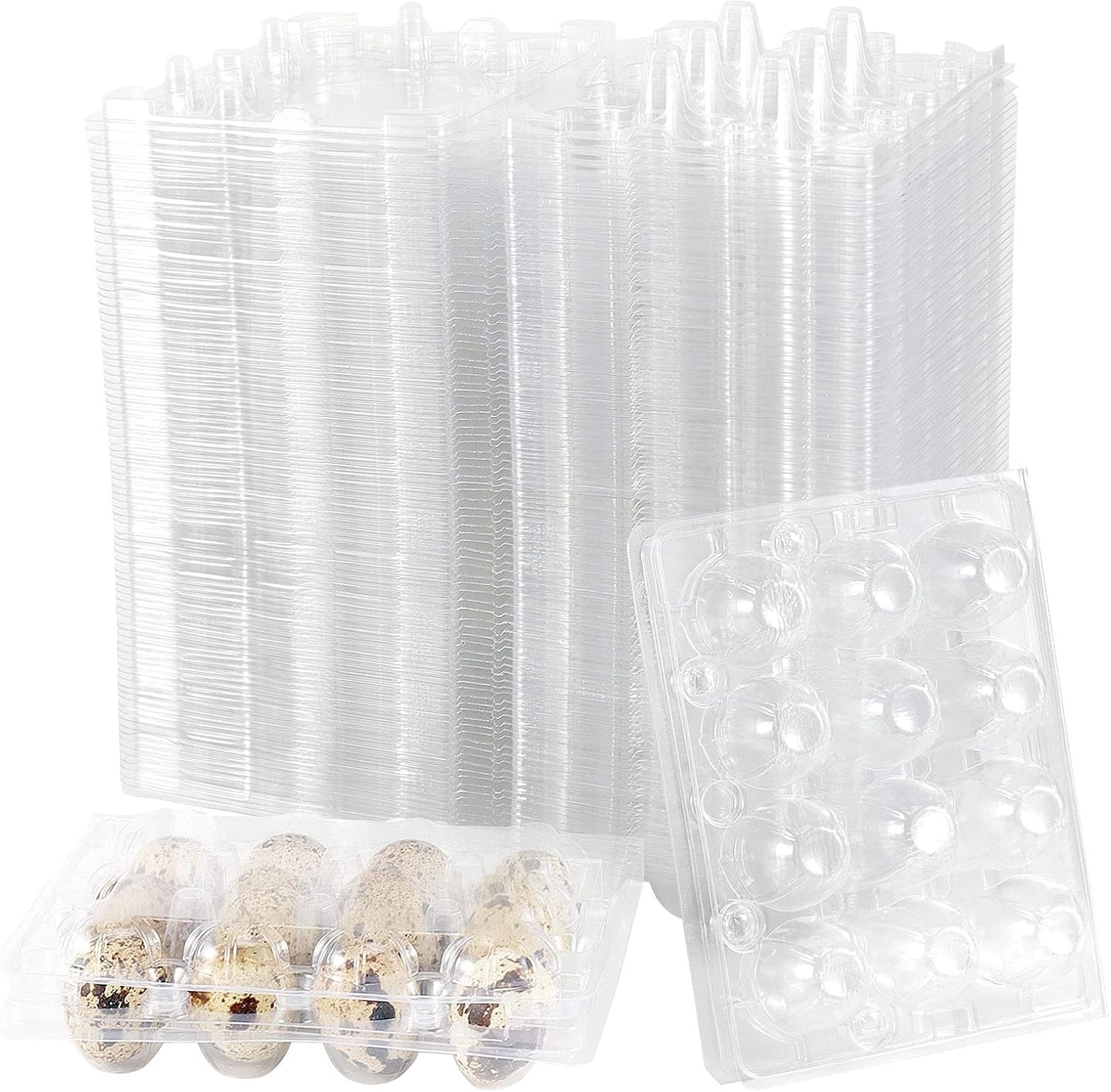 50 PCS Clear PVC Quail Egg Cartons – Stackable & Lightweight Storage