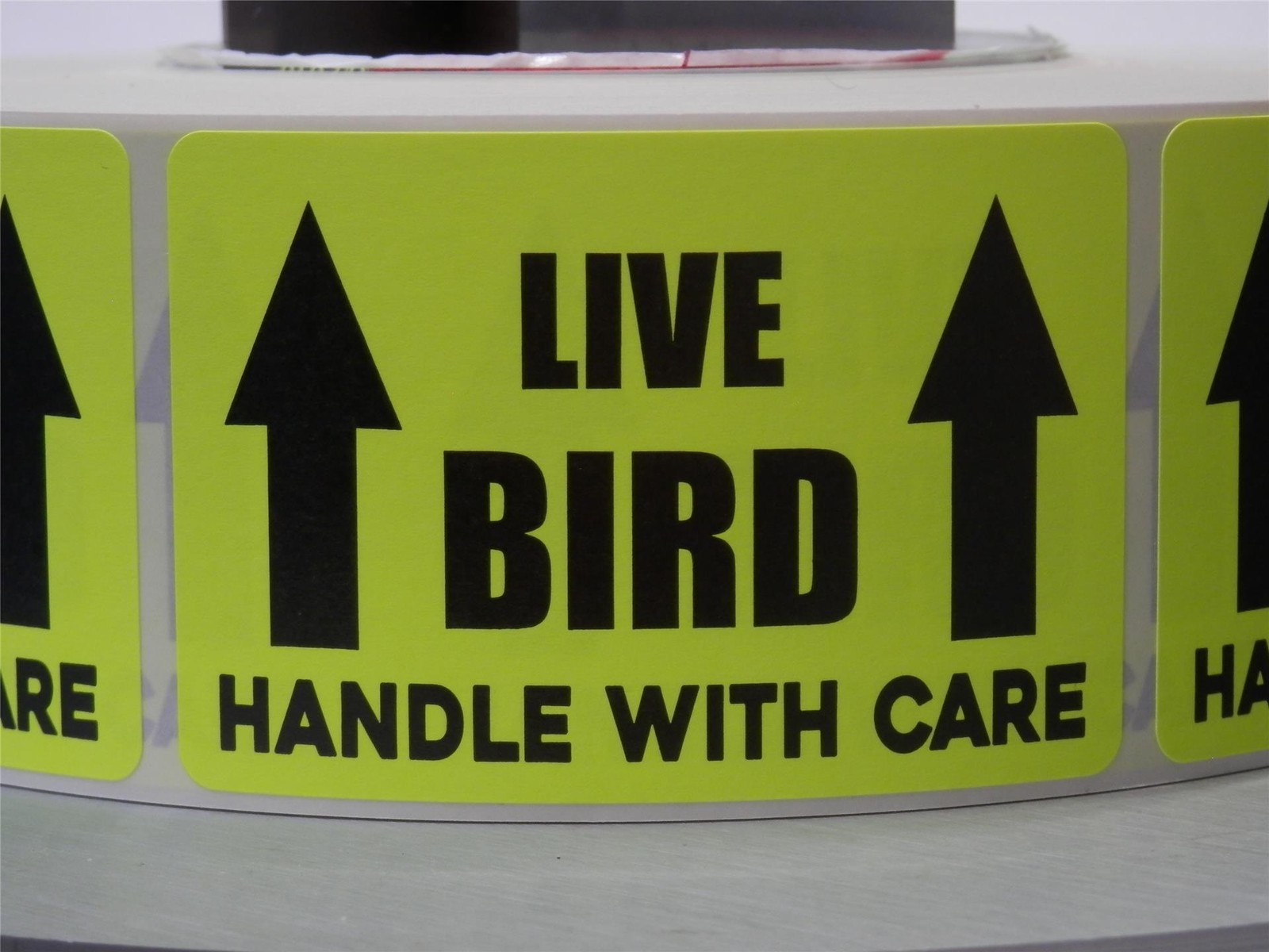 250/roll, LIVE BIRD HANDLE W. CARE 2X3 Warning Sticker Labels fluor. chartreuse