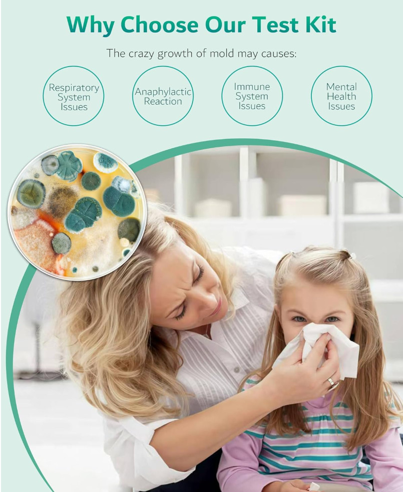 Mold Test Kit for Home Air: DIY Mold Detector with 4 Simple Detection Tests, USA