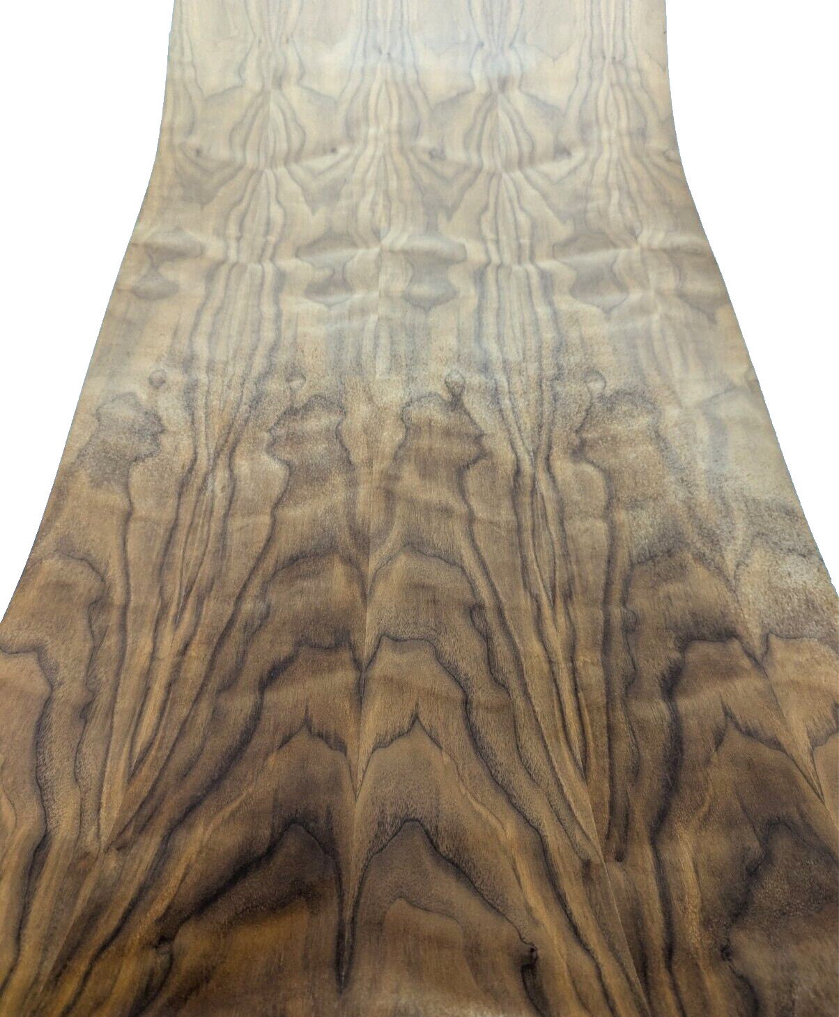 Figured Walnut wood veneer sheet 24″ x 48″ with PSA backer A grade 1/40″ thick