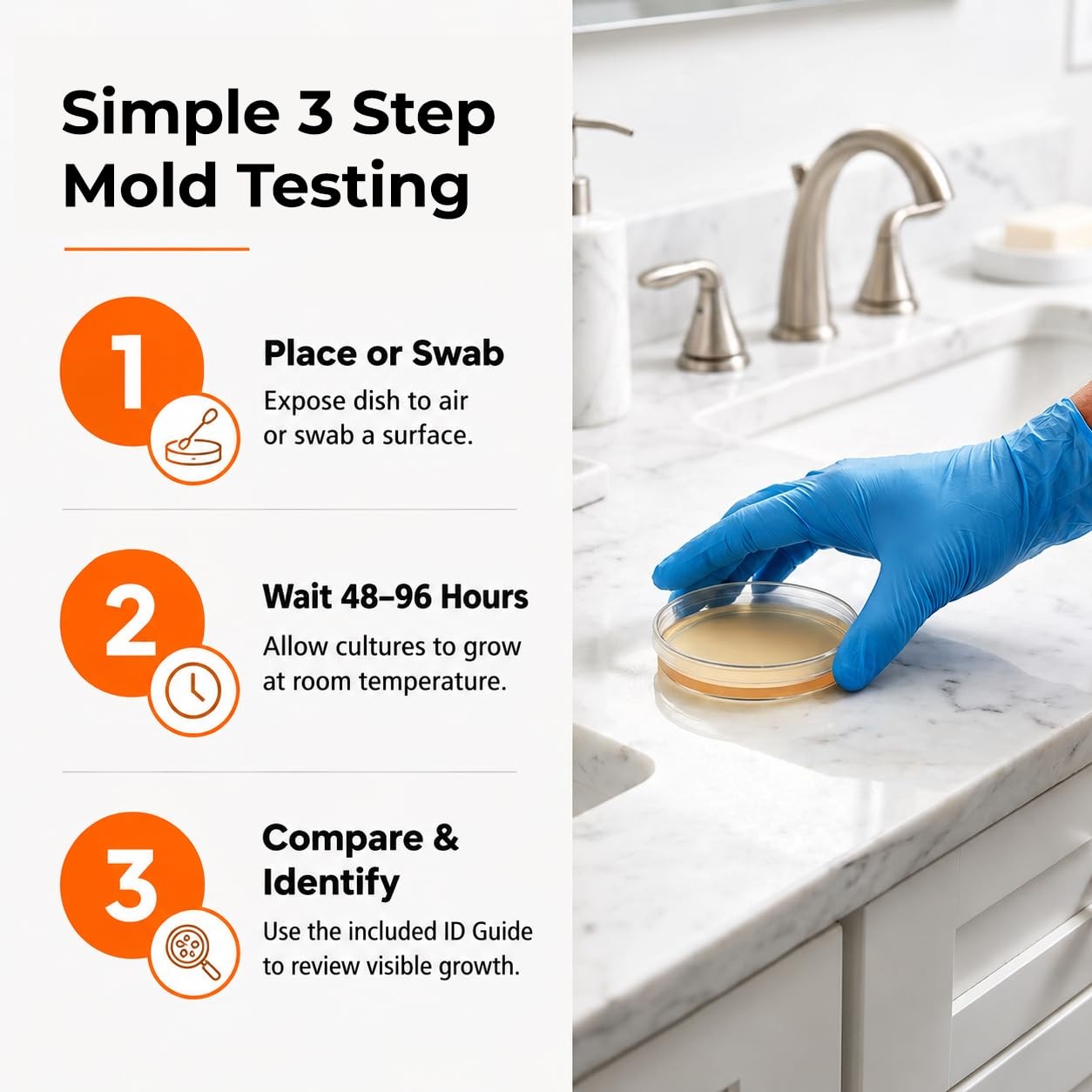 Mold Test Kit for Home Air Quality | Air Quality Test Kit & Black Mold Detect…
