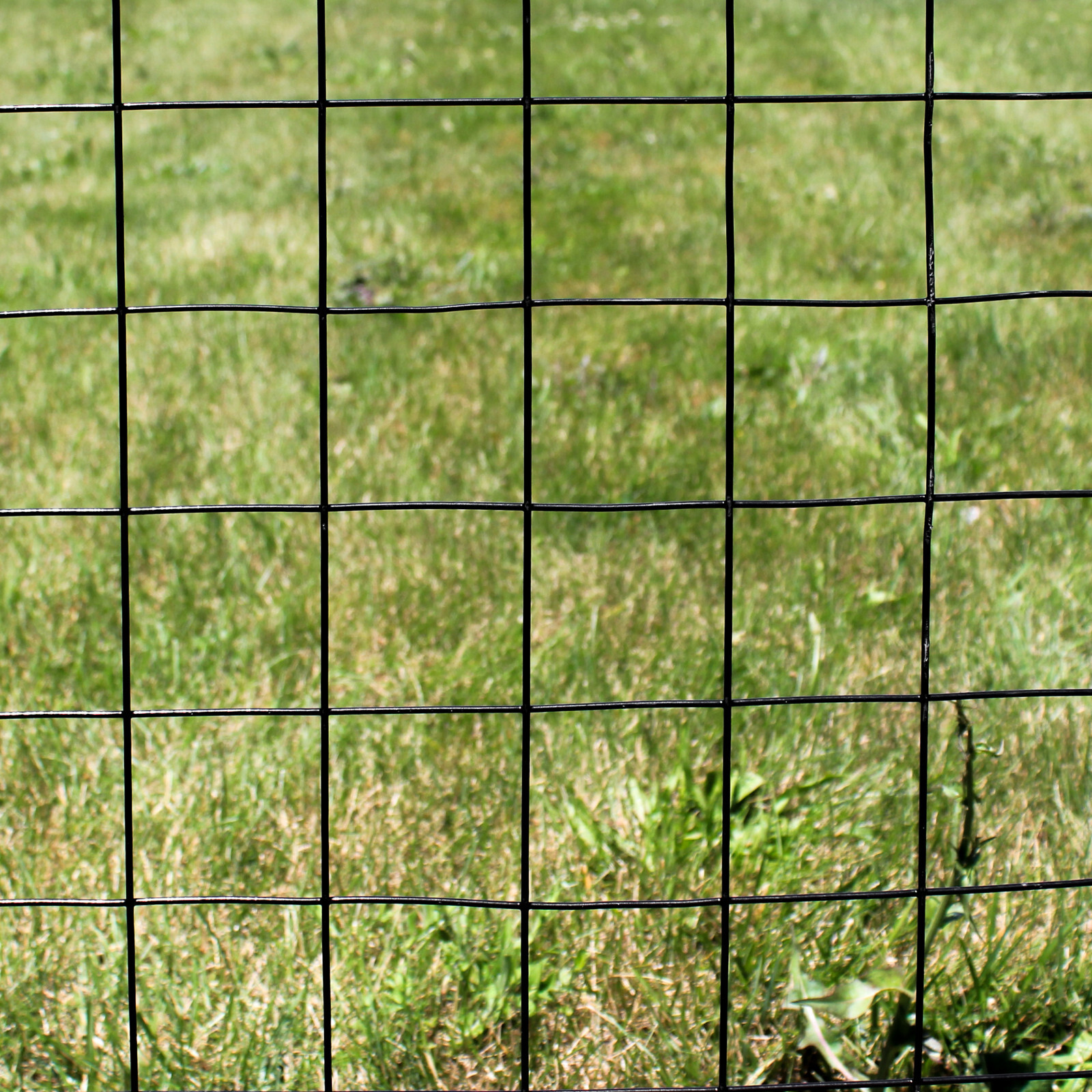 5’x100′ 12.5ga Galv Steel Black PVC Coated Welded Wire 4»x4» – Animal Fencing