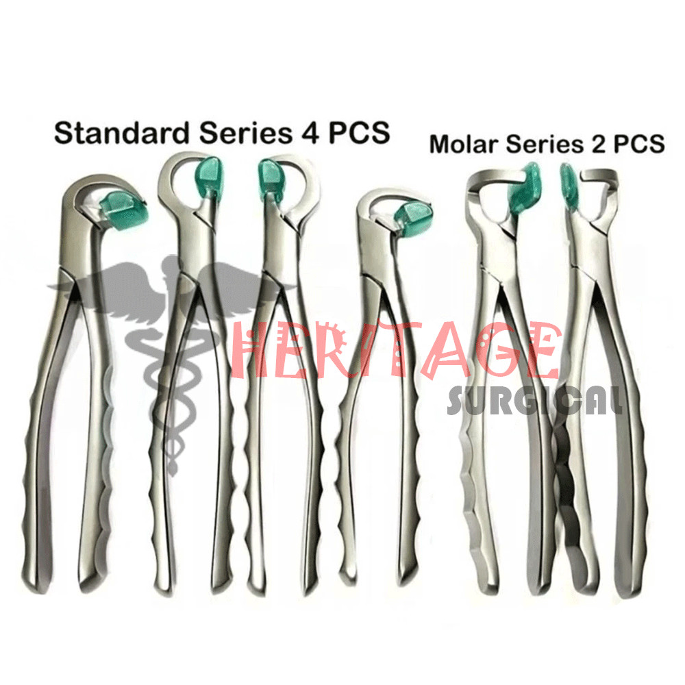 Dental Extraction Forceps Standard Series Set of 4 Pcs + 2 pcs Molar Series Set