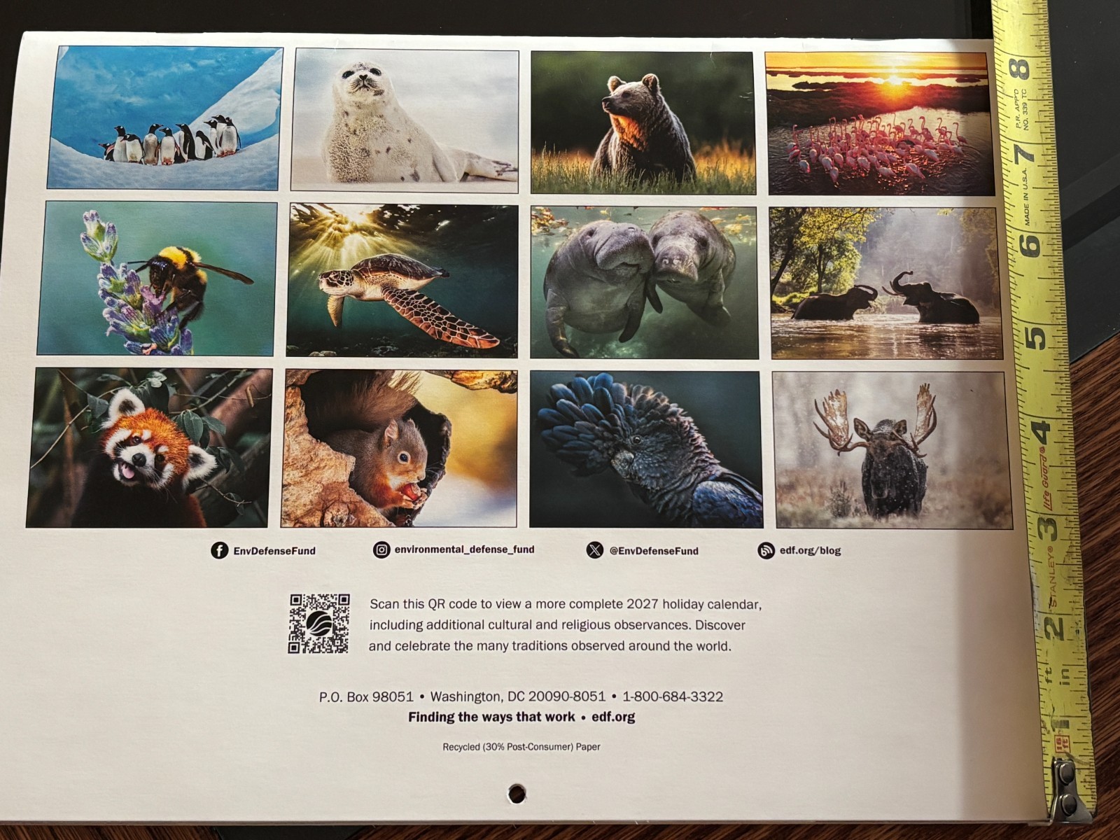 Environmental Defense Fund – 2027 – 18-Month WALL Calendar – Wildlife Photos!