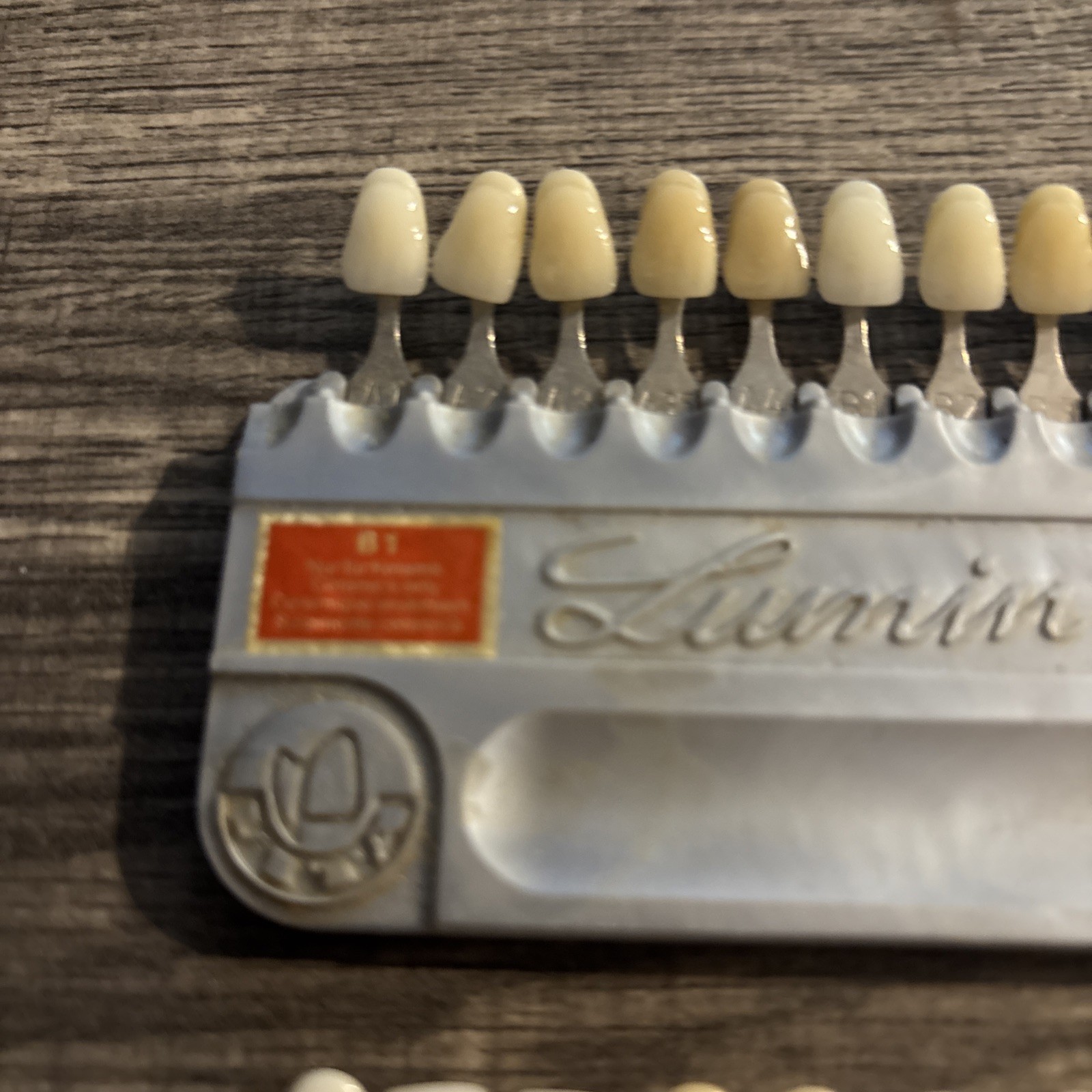 2 VITALUMIN SHADE GUIDE DENTAL DENTURE & CROWNS POPULAR COMPLETE VITA, GERMANY