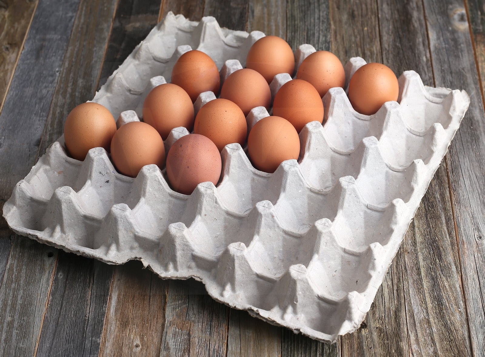 MT Products Pulp Flat Egg Cartons | Stores 30 Large to Small Eggs – Pack of 15