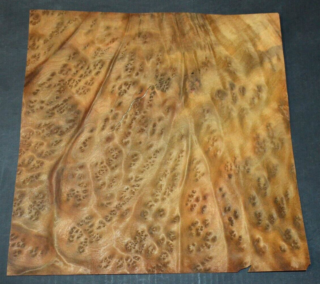 Camphor Burl Raw Wood Veneer Sheet 12 x 12 inches 1/42nd thick 4672-81