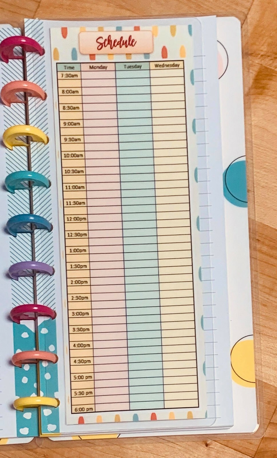 Schedule / Daily / Hourly Dashboard Insert for use with Half size HP Notebook